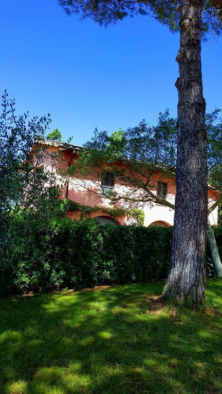 Podere Lo Stringaio Fauglia Buitenkant foto