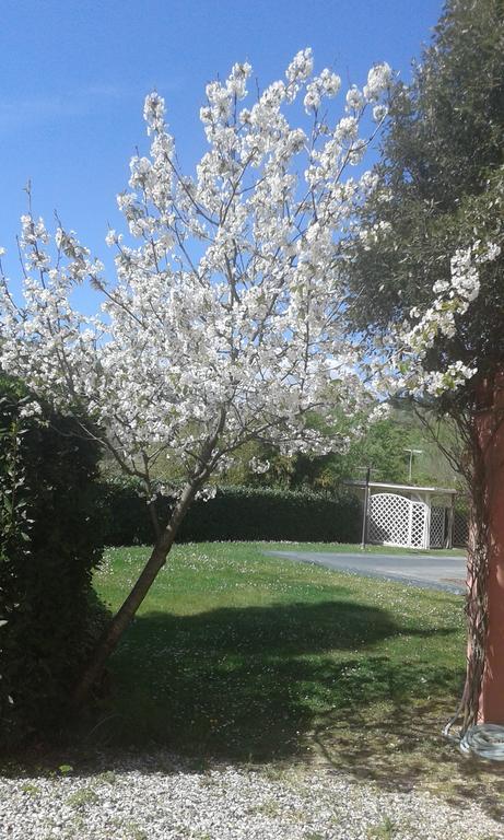 Podere Lo Stringaio Fauglia Buitenkant foto